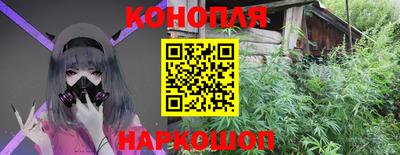 шишки Гусиноозёрск