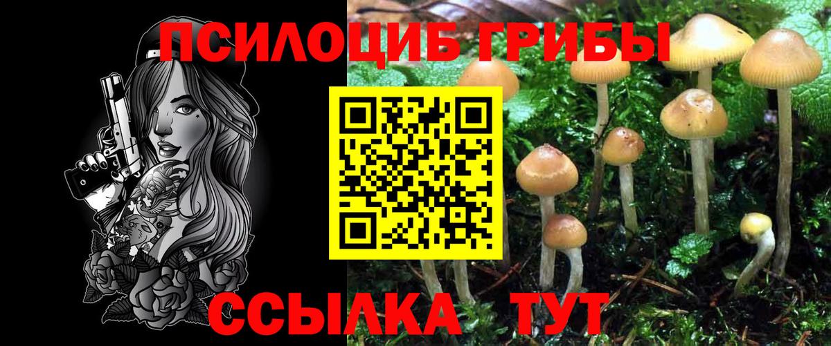 Лангепас  цены   Вход с VPN  Псилоцибиновые грибы мухоморы 